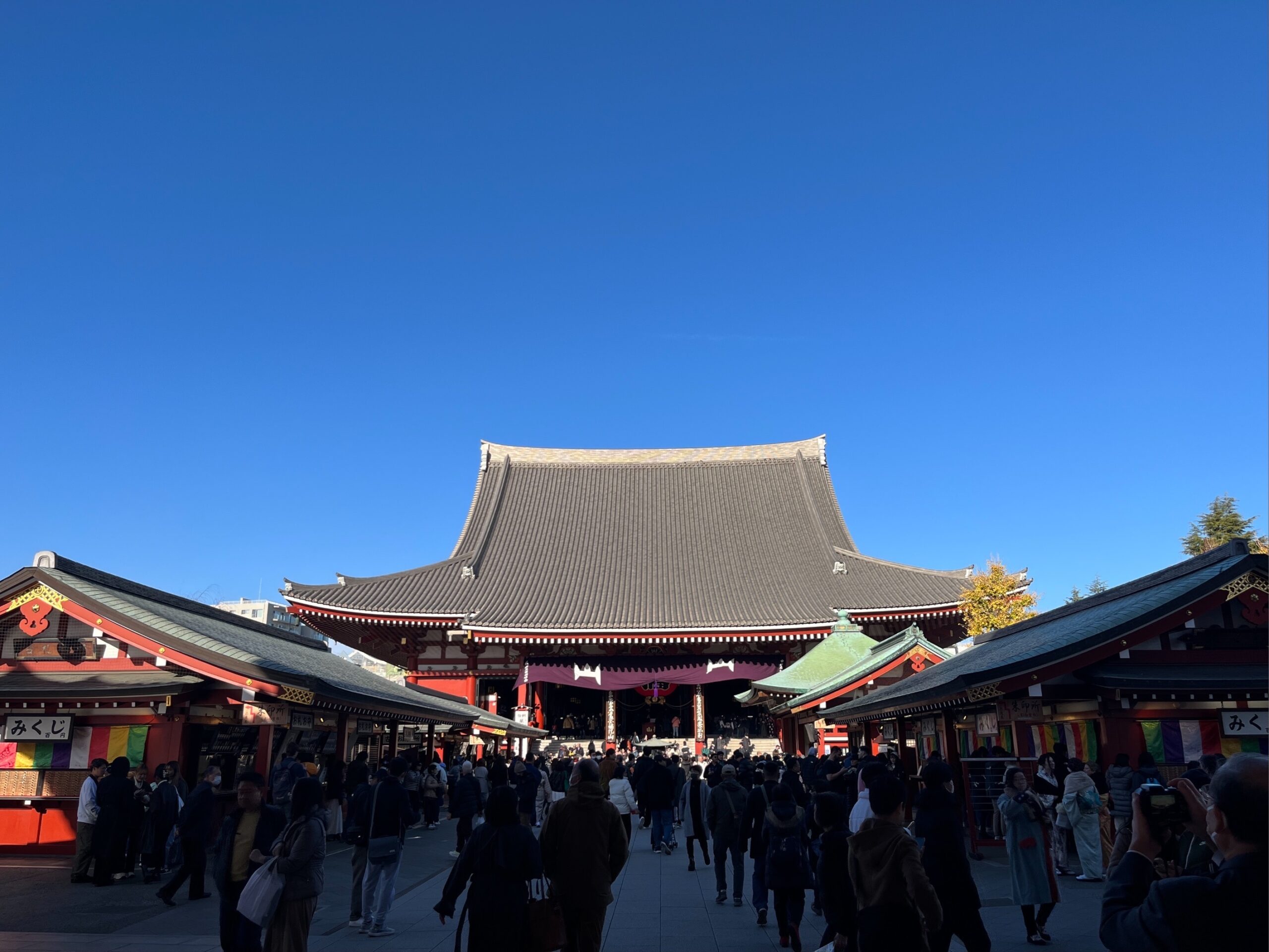 DJI 20231218 132516 183 Scaled